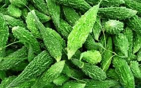 तितो करेला / प्रति के.जी