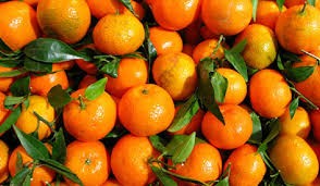 सुन्तला(नेपाली) / प्रति के.जी