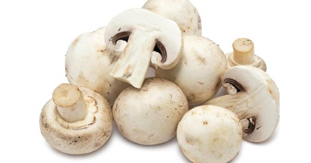 च्याउ(डल्ले) / प्रति के.जी