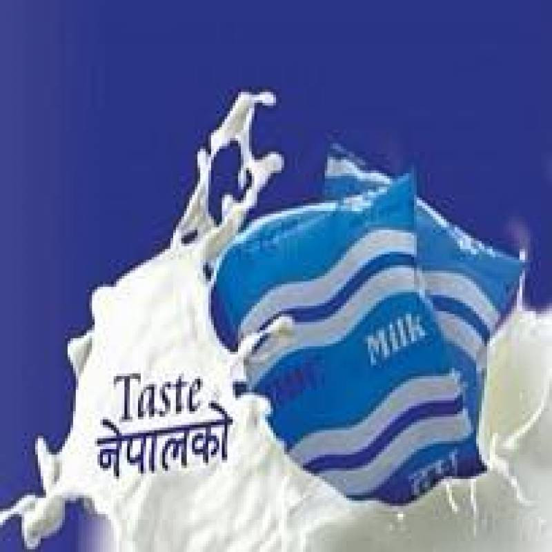 Standard Milk (500 ml)